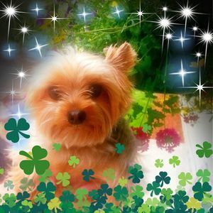 Meet your Posher, Terri